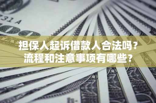 济南担保人起诉借款人合法吗？流程和注意事项有哪些？