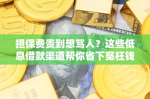 济南担保费贵到想骂人？这些低息借款渠道帮你省下冤枉钱