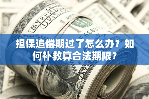 济南担保追偿期过了怎么办？如何补救算合法期限？