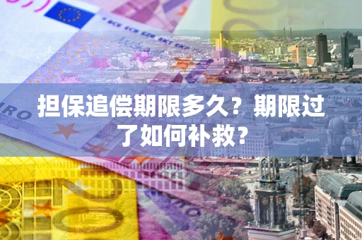 济南担保追偿期限多久？期限过了如何补救？