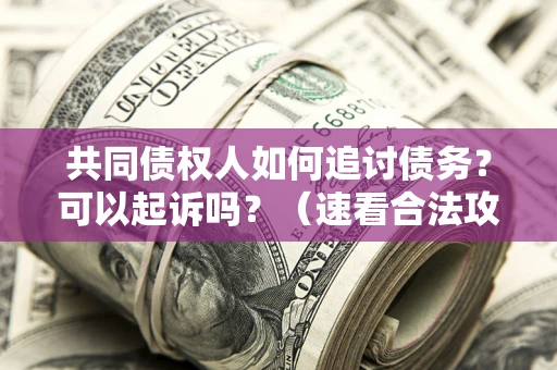 济南共同债权人如何追讨债务？可以起诉吗？（速看合法攻略）