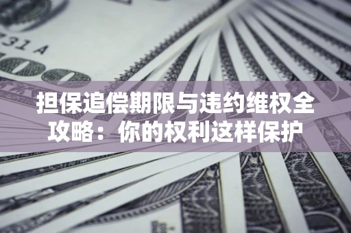 济南担保追偿期限与违约维权全攻略：你的权利这样保护
