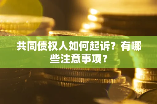 济南共同债权人如何起诉？有哪些注意事项？